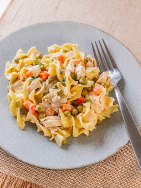 Chicken Pot Pie Noodles 