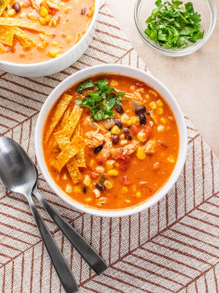 Enchilada Soup