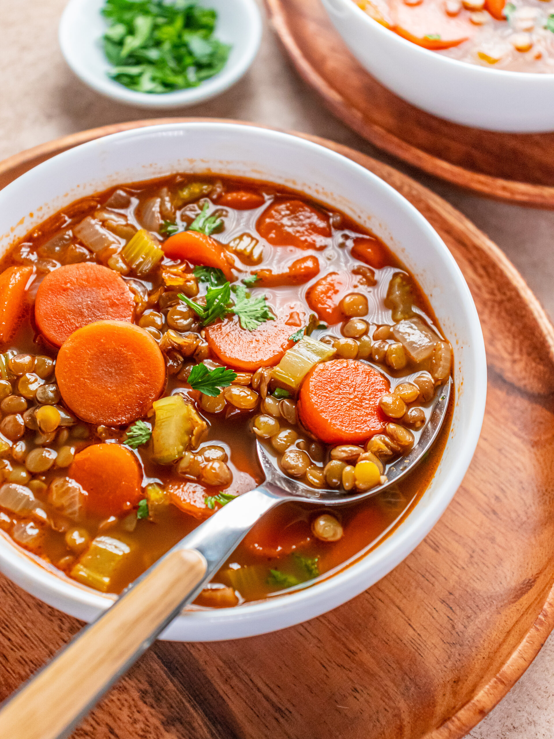 Lentil Vegetable Soup